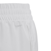 adidas Tennis Shorts Short Club white Boys